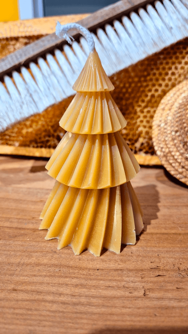 Sapin 