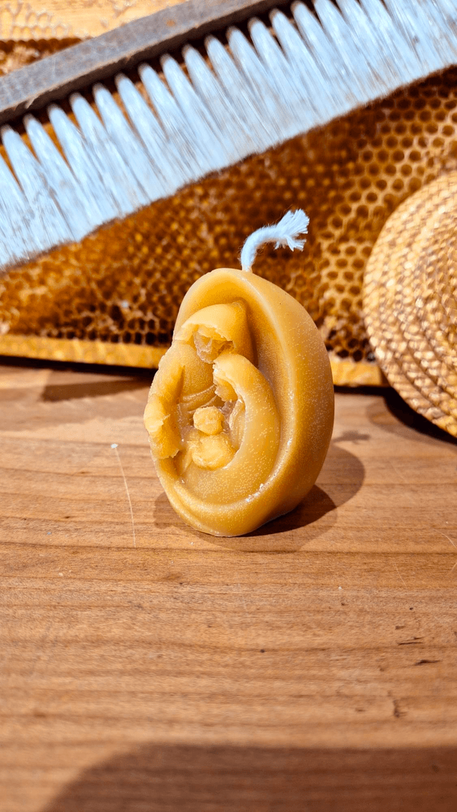 Crèche œuf 